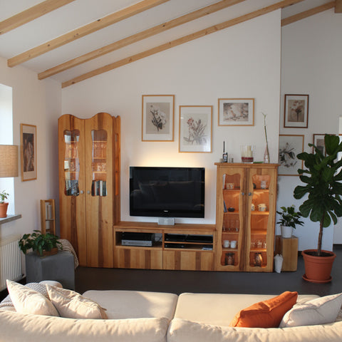 WOHNZIMMERSCHRANK COUCH OG